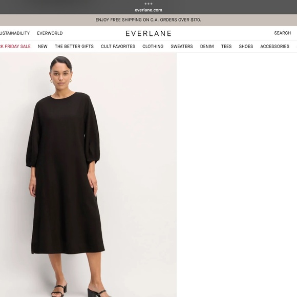 Everlane 100% linen dress - Picture 3 of 6